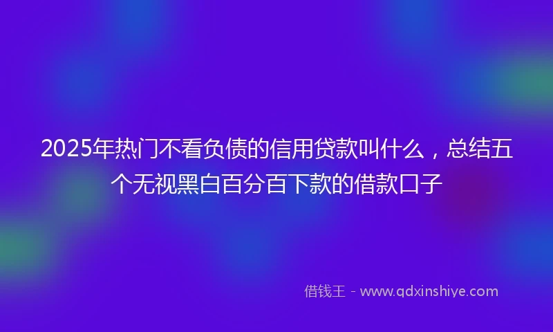 2025年热门不看负债的信用贷款叫什么，总结五个无视黑白百分百下款的借款口子