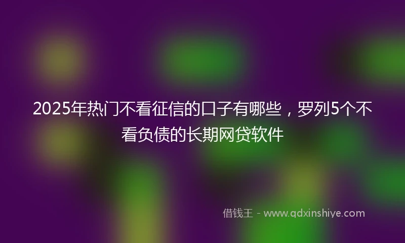 2025年热门不看征信的口子有哪些，罗列5个不看负债的长期网贷软件