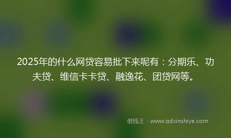 2025年的什么网贷容易批下来呢有：分期乐、功夫贷、维信卡卡贷、融逸花、团贷网等。