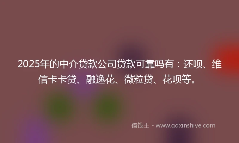 2025年的中介贷款公司贷款可靠吗有：还呗、维信卡卡贷、融逸花、微粒贷、花呗等。