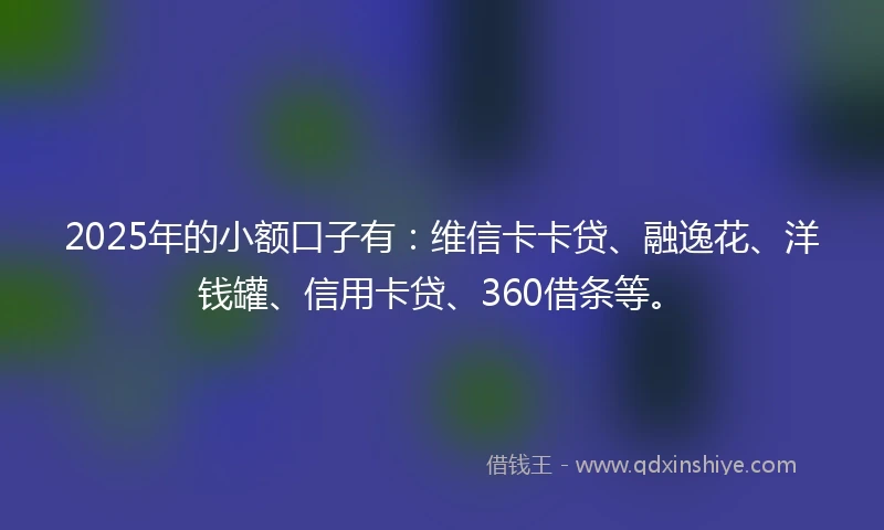 2025年的小额口子有：维信卡卡贷、融逸花、洋钱罐、信用卡贷、360借条等。