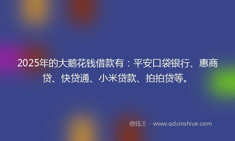 2025年的大鹅花钱借款有：平安口袋银行、惠商贷、快贷通、小米贷款、拍拍贷等。