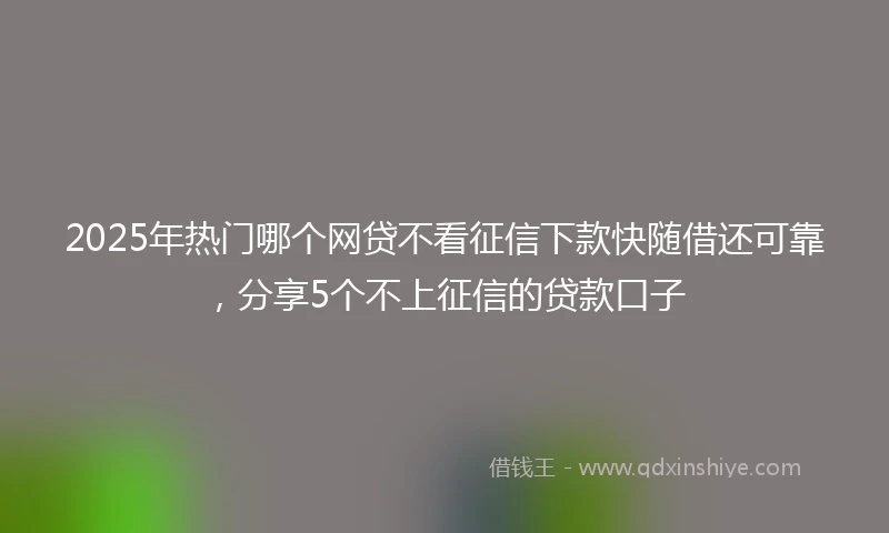 2025年热门哪个网贷不看征信下款快随借还可靠，分享5个不上征信的贷款口子