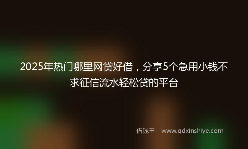 2025年热门哪里网贷好借，分享5个急用小钱不求征信流水轻松贷的平台