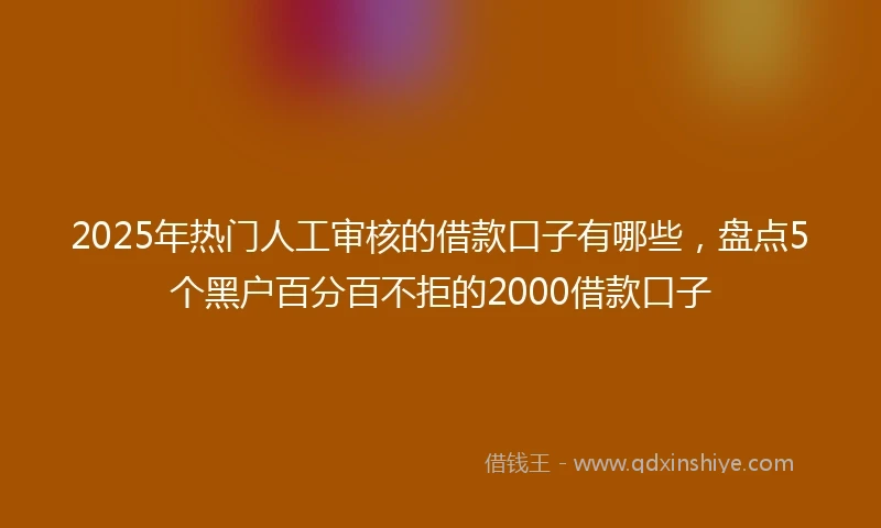 2025年热门人工审核的借款口子有哪些，盘点5个黑户百分百不拒的2000借款口子