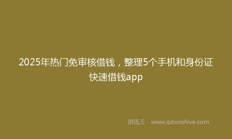 2025年热门免审核借钱，整理5个手机和身份证快速借钱app