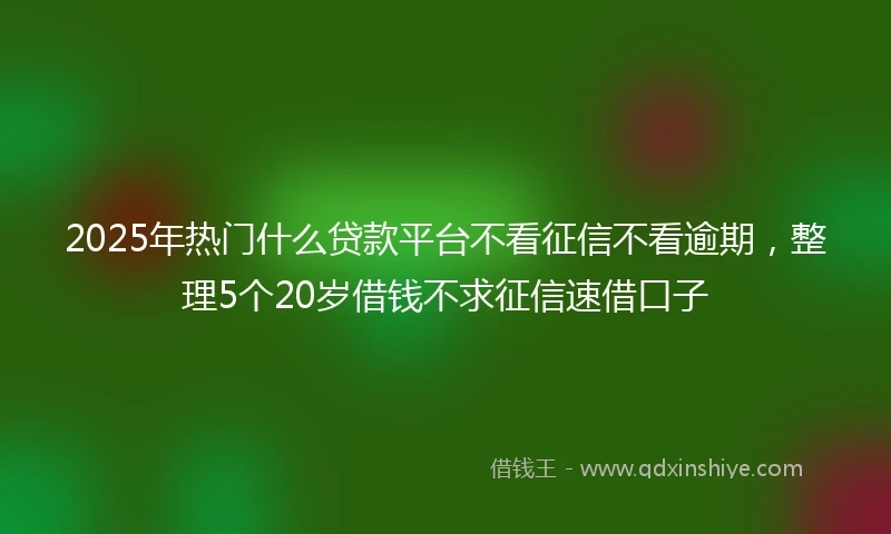 2025年热门什么贷款平台不看征信不看逾期，整理5个20岁借钱不求征信速借口子
