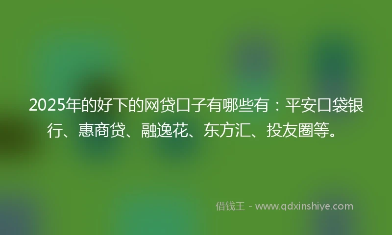 2025年的好下的网贷口子有哪些有：平安口袋银行、惠商贷、融逸花、东方汇、投友圈等。