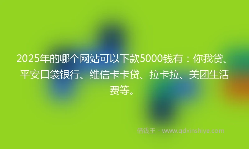 2025年的哪个网站可以下款5000钱有：你我贷、平安口袋银行、维信卡卡贷、拉卡拉、美团生活费等。
