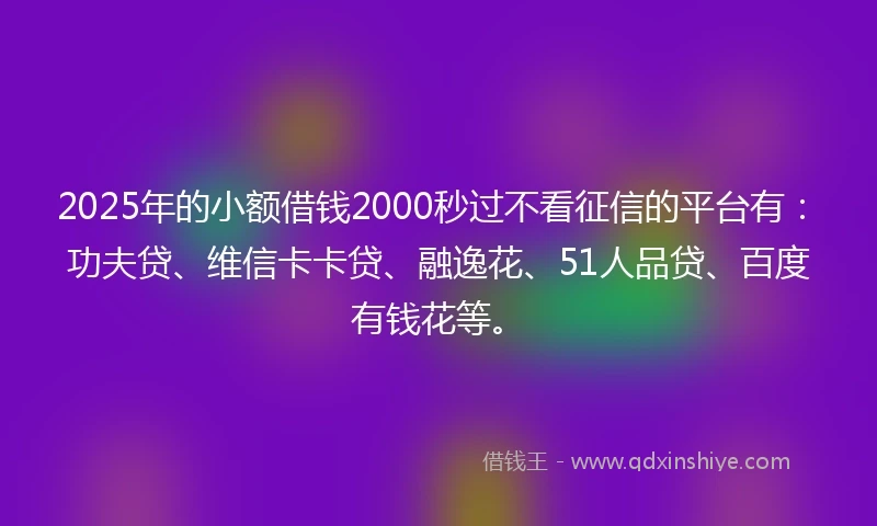 2025年的小额借钱2000秒过不看征信的平台有：功夫贷、维信卡卡贷、融逸花、51人品贷、百度有钱花等。