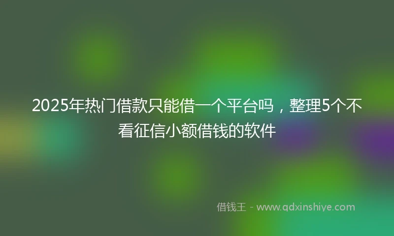 2025年热门借款只能借一个平台吗，整理5个不看征信小额借钱的软件