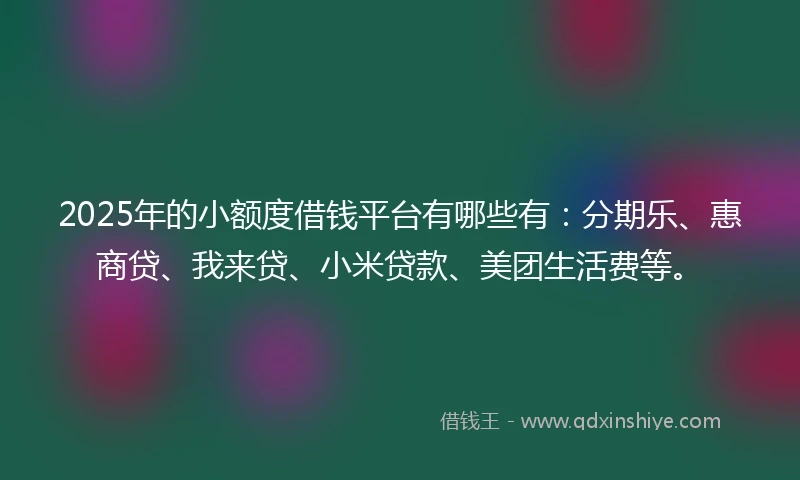 2025年的小额度借钱平台有哪些有：分期乐、惠商贷、我来贷、小米贷款、美团生活费等。