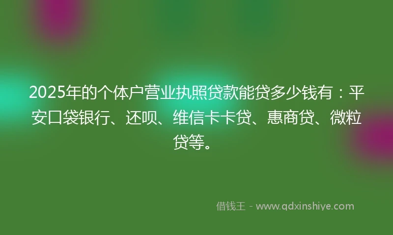 2025年的个体户营业执照贷款能贷多少钱有：平安口袋银行、还呗、维信卡卡贷、惠商贷、微粒贷等。
