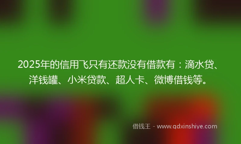 2025年的信用飞只有还款没有借款有：滴水贷、洋钱罐、小米贷款、超人卡、微博借钱等。