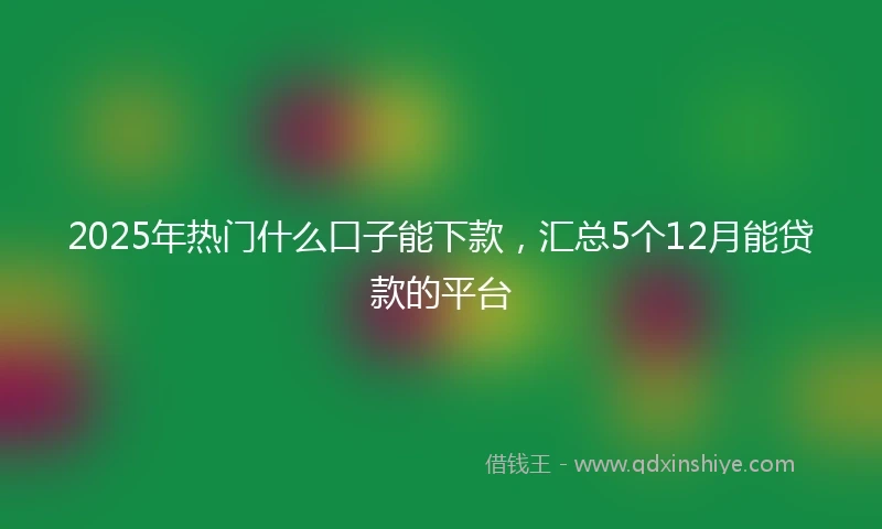 2025年热门什么口子能下款，汇总5个12月能贷款的平台