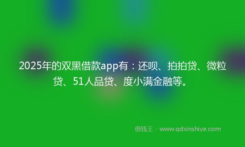 2025年的双黑借款app有：还呗、拍拍贷、微粒贷、51人品贷、度小满金融等。