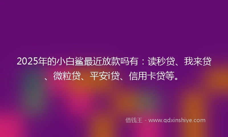 2025年的小白鲨最近放款吗有：读秒贷、我来贷、微粒贷、平安i贷、信用卡贷等。
