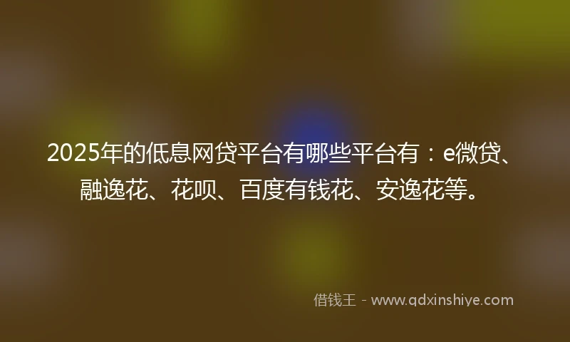 2025年的低息网贷平台有哪些平台有：e微贷、融逸花、花呗、百度有钱花、安逸花等。