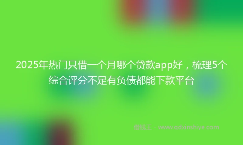 2025年热门只借一个月哪个贷款app好，梳理5个综合评分不足有负债都能下款平台