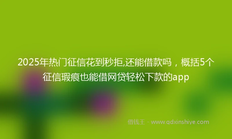 2025年热门征信花到秒拒,还能借款吗，概括5个征信瑕疵也能借网贷轻松下款的app