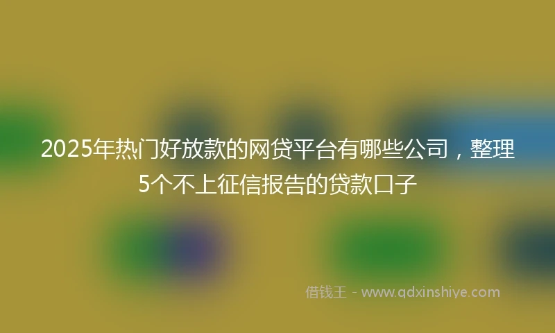 2025年热门好放款的网贷平台有哪些公司,整理5个不上征信报告的贷款口子