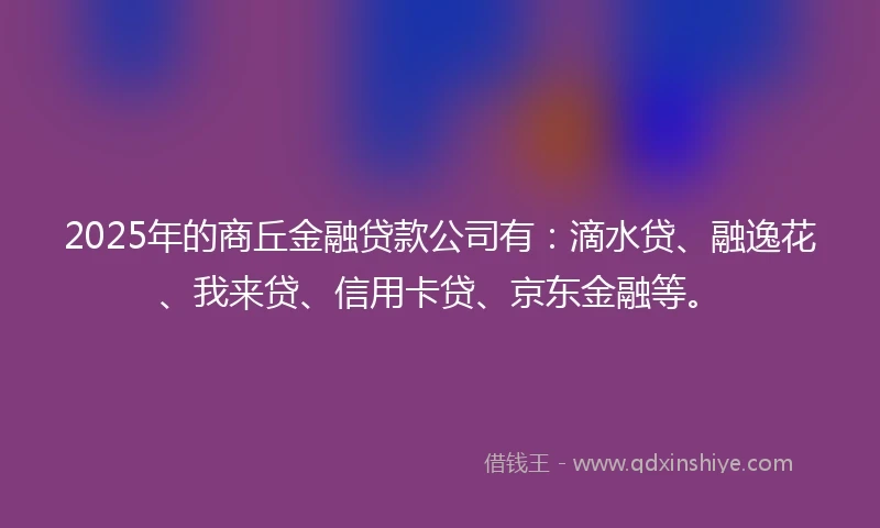 2025年的商丘金融贷款公司有：滴水贷、融逸花、我来贷、信用卡贷、京东金融等。