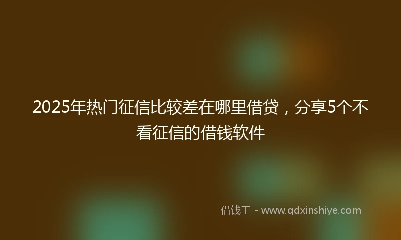 2025年热门征信比较差在哪里借贷，分享5个不看征信的借钱软件