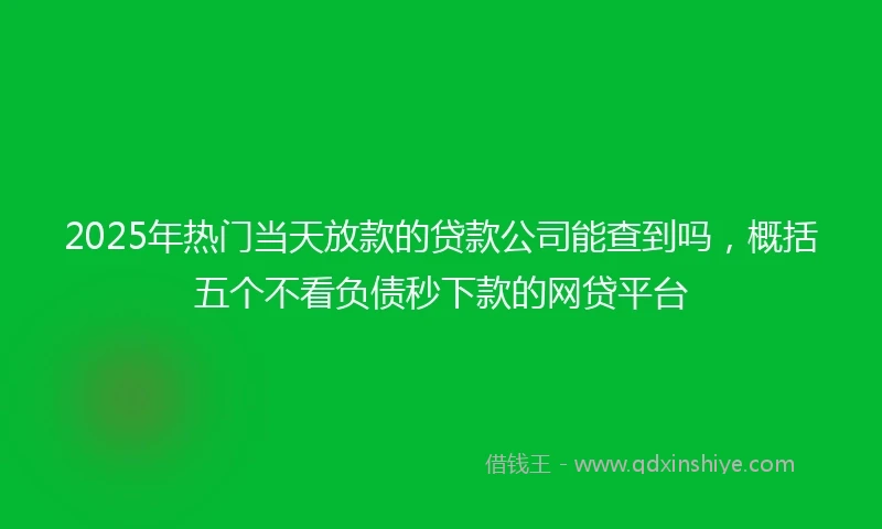 2025年热门当天放款的贷款公司能查到吗，概括五个不看负债秒下款的网贷平台