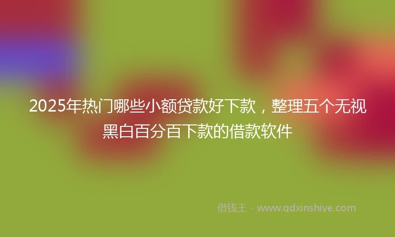 2025年热门哪些小额贷款好下款，整理五个无视黑白百分百下款的借款软件
