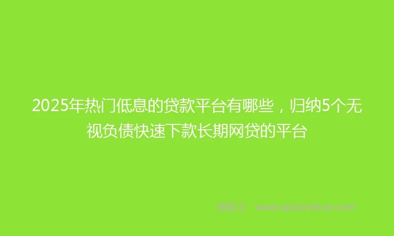 2025年热门低息的贷款平台有哪些，归纳5个无视负债快速下款长期网贷的平台