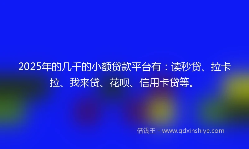 2025年的几千的小额贷款平台有：读秒贷、拉卡拉、我来贷、花呗、信用卡贷等。