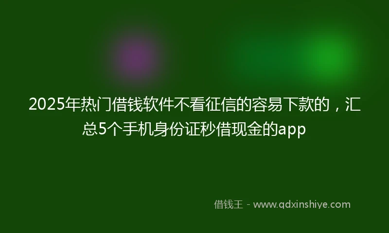 2025年热门借钱软件不看征信的容易下款的，汇总5个手机身份证秒借现金的app