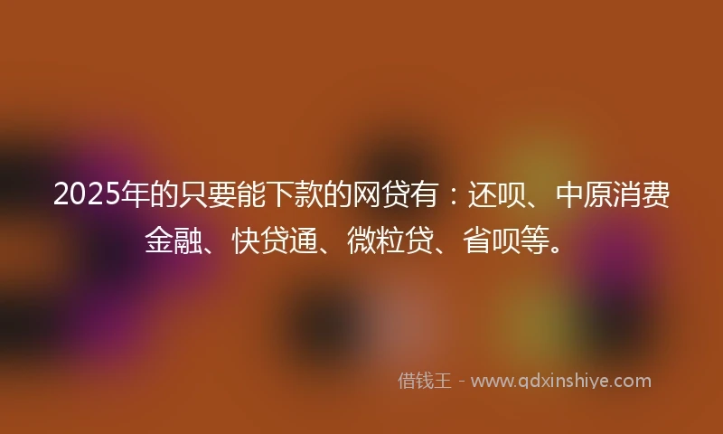 2025年的只要能下款的网贷有：还呗、中原消费金融、快贷通、微粒贷、省呗等。