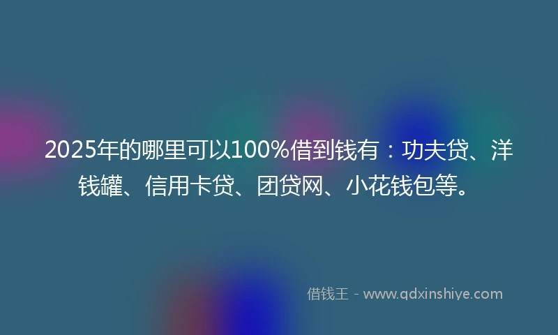 2025年的哪里可以100%借到钱有：功夫贷、洋钱罐、信用卡贷、团贷网、小花钱包等。