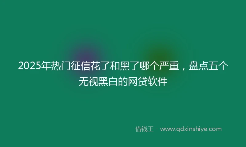 2025年热门征信花了和黑了哪个严重，盘点五个无视黑白的网贷软件