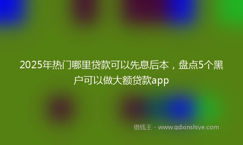 2025年热门哪里贷款可以先息后本，盘点5个黑户可以做大额贷款app