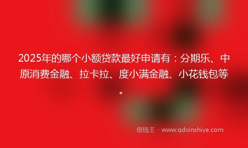 2025年的哪个小额贷款最好申请有：分期乐、中原消费金融、拉卡拉、度小满金融、小花钱包等。