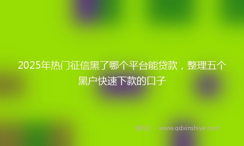 2025年热门征信黑了哪个平台能贷款，整理五个黑户快速下款的口子