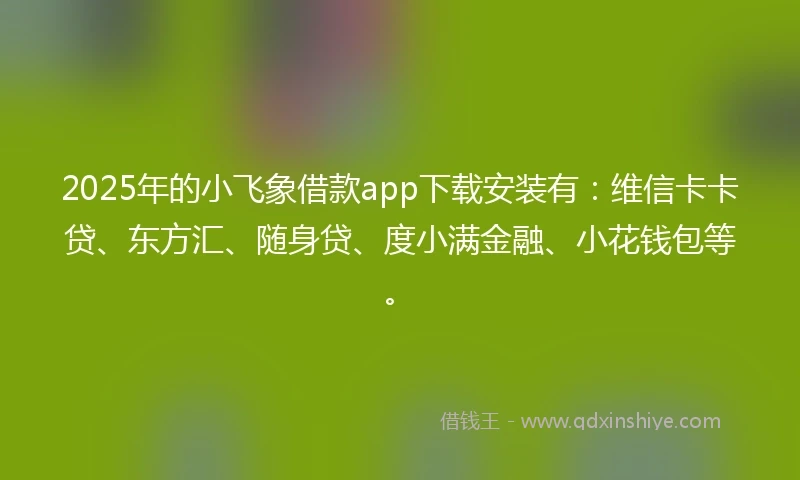 2025年的小飞象借款app下载安装有：维信卡卡贷、东方汇、随身贷、度小满金融、小花钱包等。