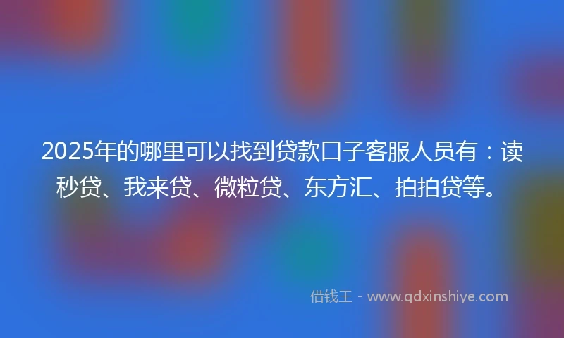 2025年的哪里可以找到贷款口子客服人员有：读秒贷、我来贷、微粒贷、东方汇、拍拍贷等。