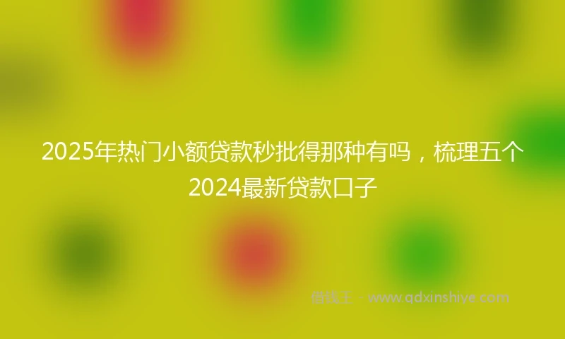 2025年热门小额贷款秒批得那种有吗，梳理五个2024最新贷款口子