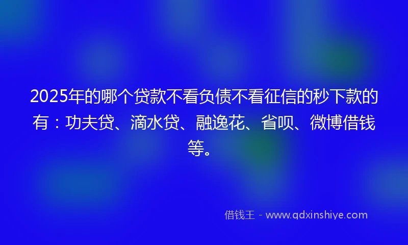 2025年的哪个贷款不看负债不看征信的秒下款的有：功夫贷、滴水贷、融逸花、省呗、微博借钱等。