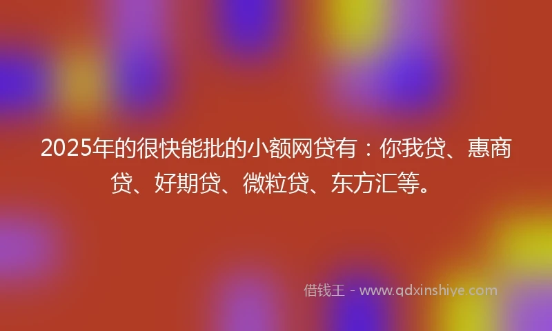 2025年的很快能批的小额网贷有：你我贷、惠商贷、好期贷、微粒贷、东方汇等。