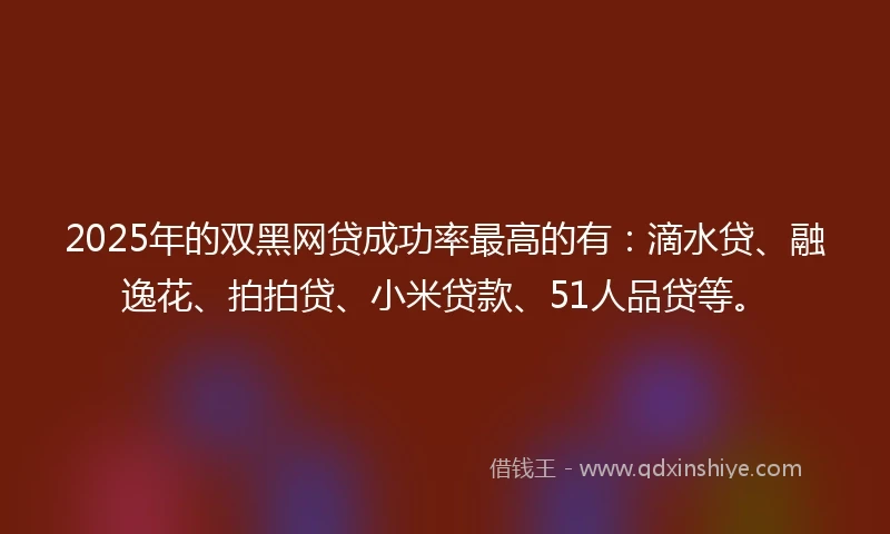 2025年的双黑网贷成功率最高的有：滴水贷、融逸花、拍拍贷、小米贷款、51人品贷等。