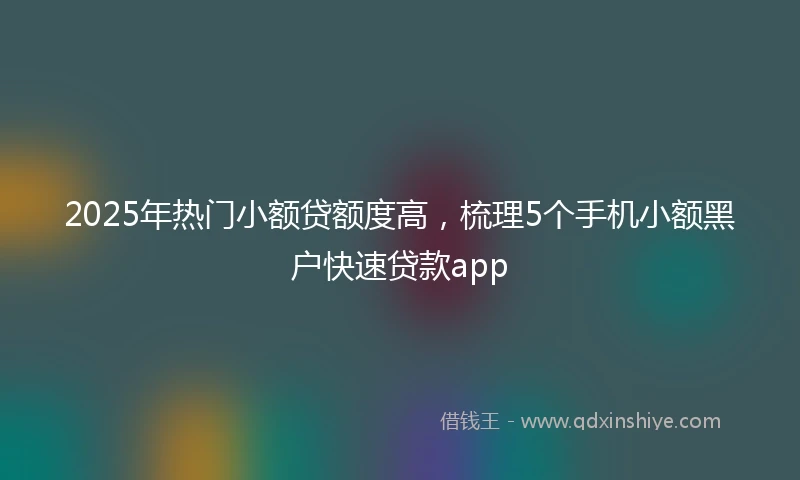 2025年热门小额贷额度高，梳理5个手机小额黑户快速贷款app
