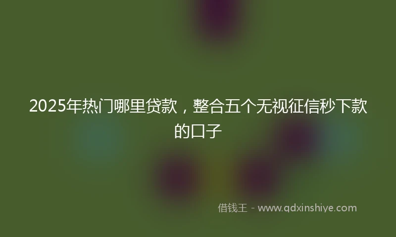 2025年热门哪里贷款，整合五个无视征信秒下款的口子