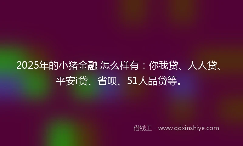 2025年的小猪金融 怎么样有：你我贷、人人贷、平安i贷、省呗、51人品贷等。