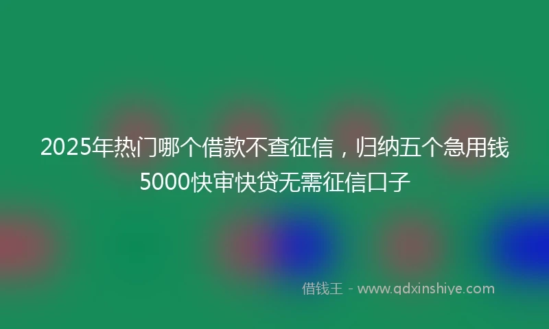 2025年热门哪个借款不查征信，归纳五个急用钱5000快审快贷无需征信口子