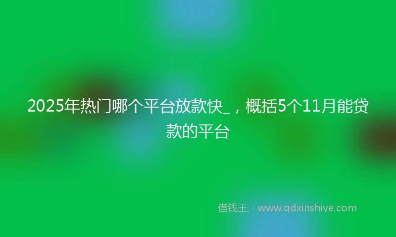 2025年热门哪个平台放款快_，概括5个11月能贷款的平台