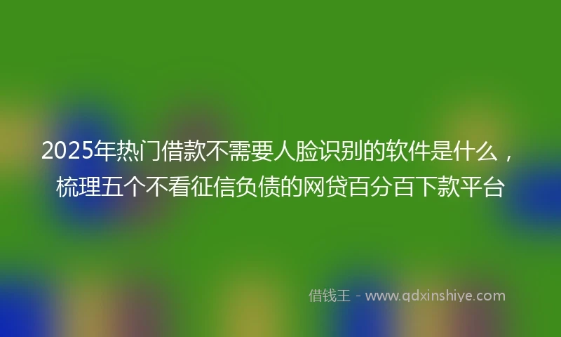 2025年热门借款不需要人脸识别的软件是什么，梳理五个不看征信负债的网贷百分百下款平台